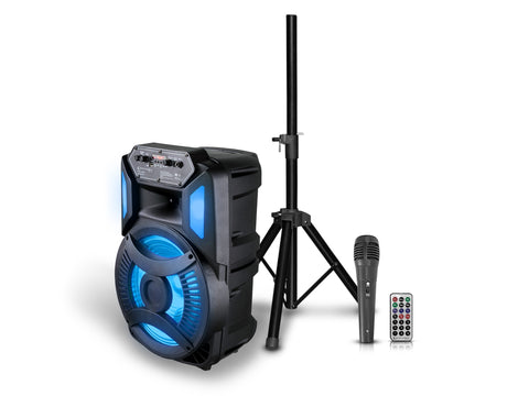 10'' Portable PA System with Rechargeable Battery & Wireless VHF Handheld Microphone