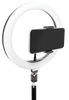 Technical Pro LIVELIGHT10 10-Inch LED Ring Light with Tripod Stand and Phone Holder