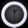 Technical Pro LIVELIGHT10 10-Inch LED Ring Light with Tripod Stand and Phone Holder
