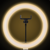 Technical Pro LIVELIGHT10 10-Inch LED Ring Light with Tripod Stand and Phone Holder