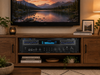 Technical Pro RX113BT