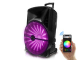 Rechargeable 18" Bluetooth LED Speaker with App