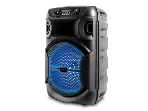 10'' Portable PA System with Rechargeable Battery & Wireless VHF Handheld Microphone