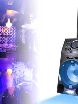 10'' Portable PA System with Rechargeable Battery & Wireless VHF Handheld Microphone