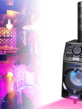 10'' Portable PA System with Rechargeable Battery & Wireless VHF Handheld Microphone